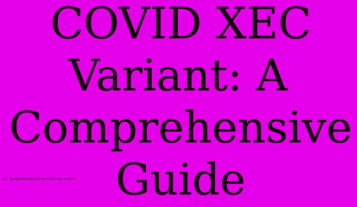 COVID XEC Variant: A Comprehensive Guide