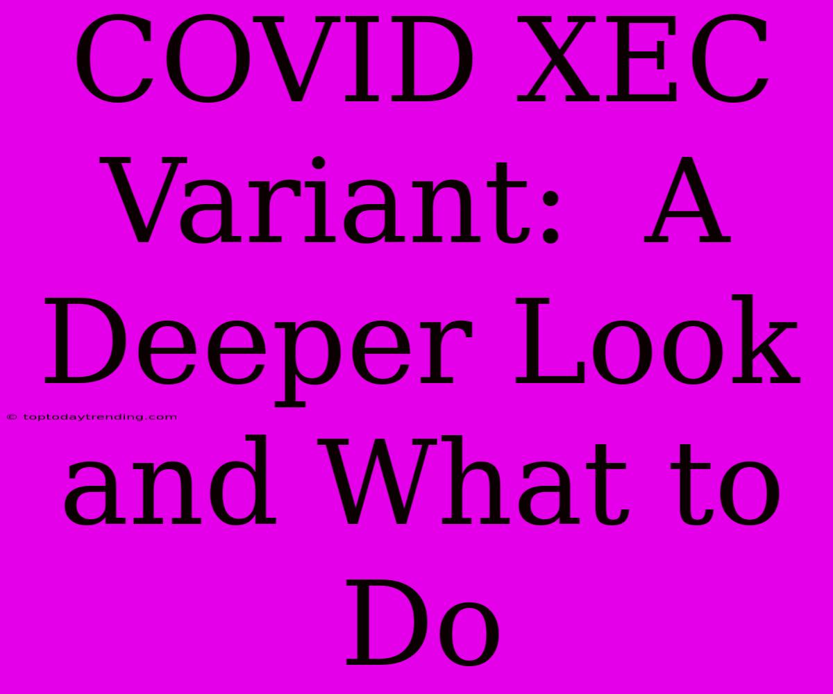 COVID XEC Variant:  A Deeper Look And What To Do