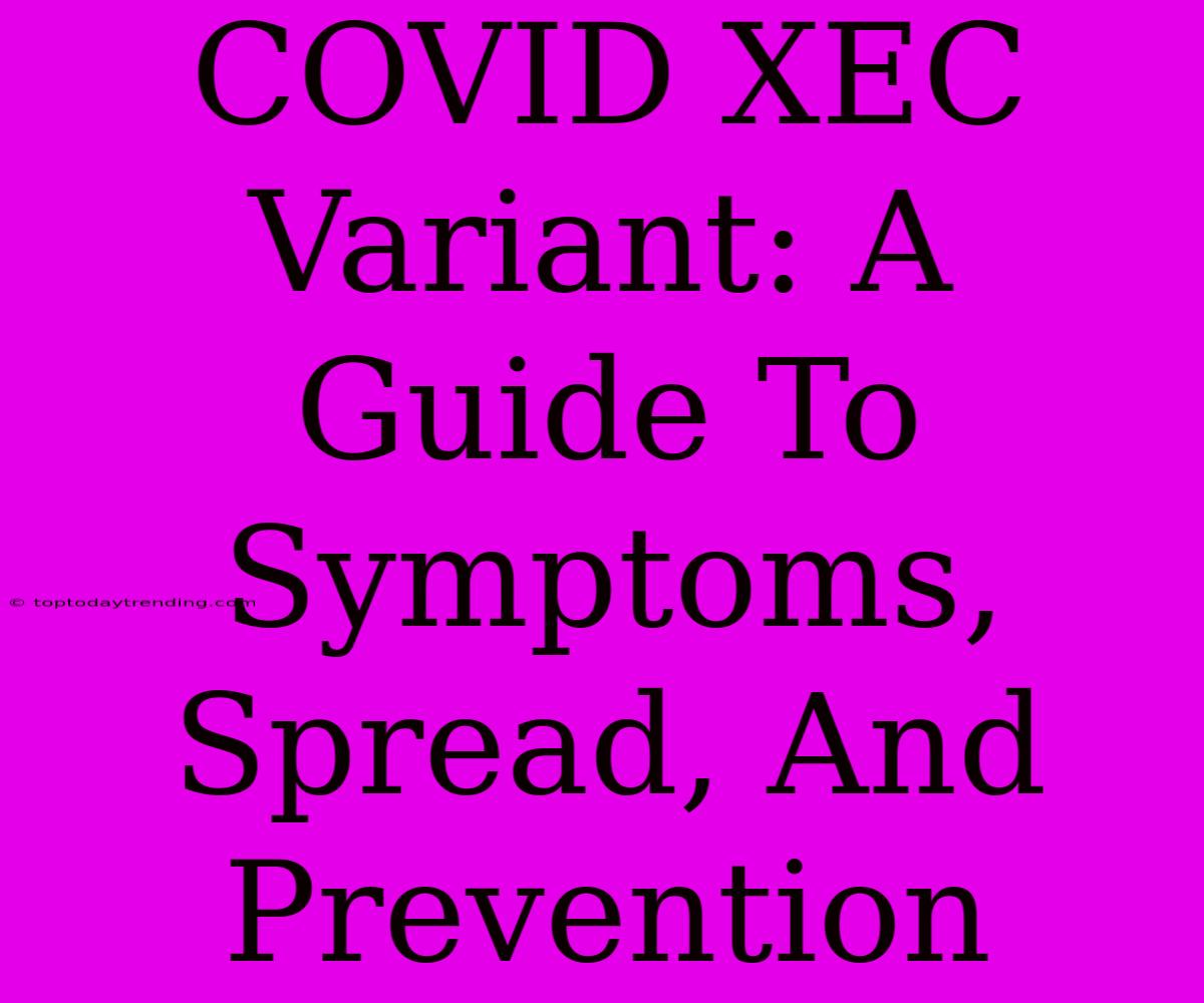 COVID XEC Variant: A Guide To Symptoms, Spread, And Prevention