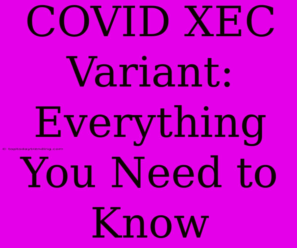 COVID XEC Variant: Everything You Need To Know