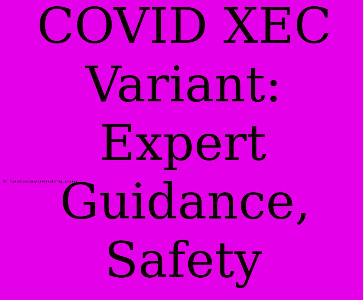 COVID XEC Variant:  Expert Guidance, Safety