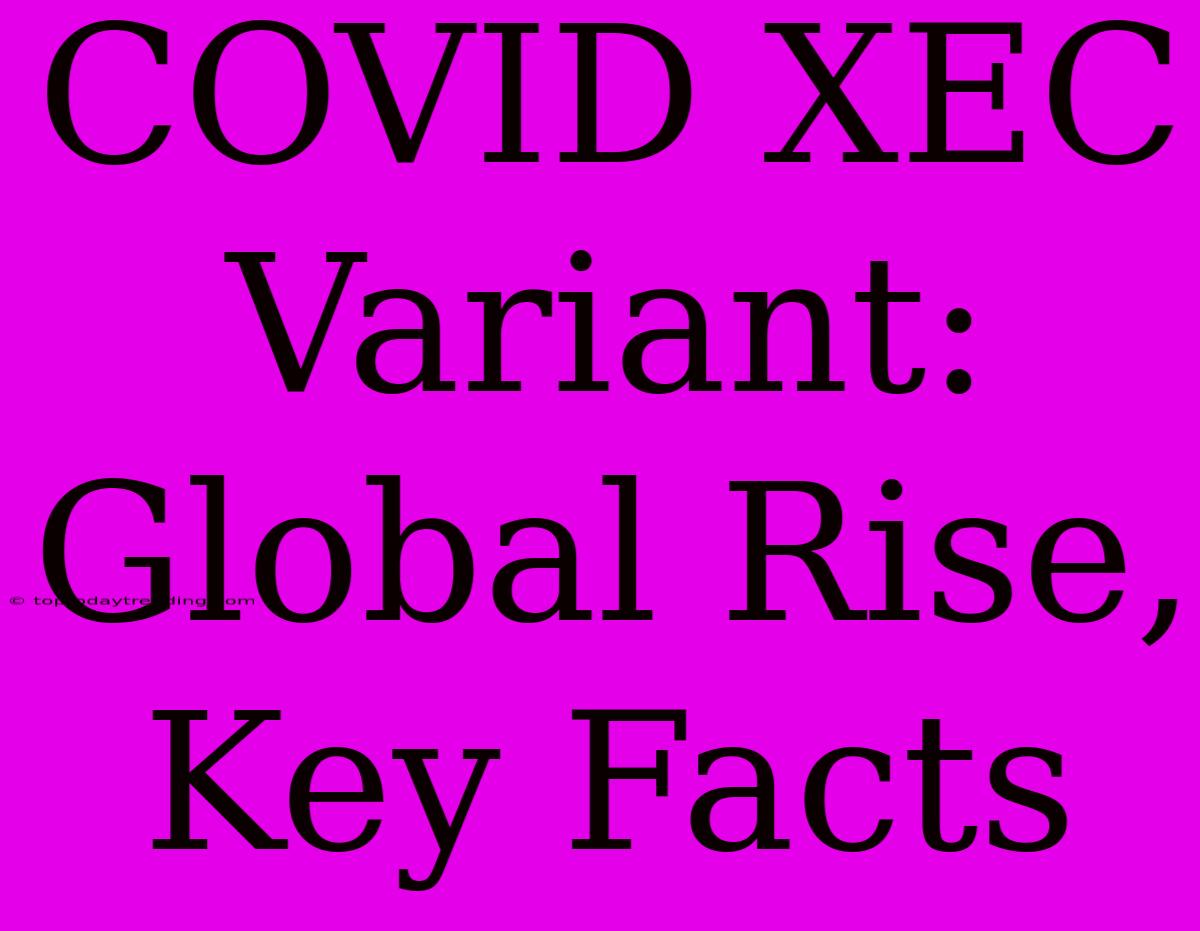 COVID XEC Variant: Global Rise, Key Facts