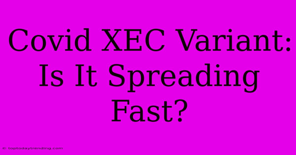 Covid XEC Variant: Is It Spreading Fast?