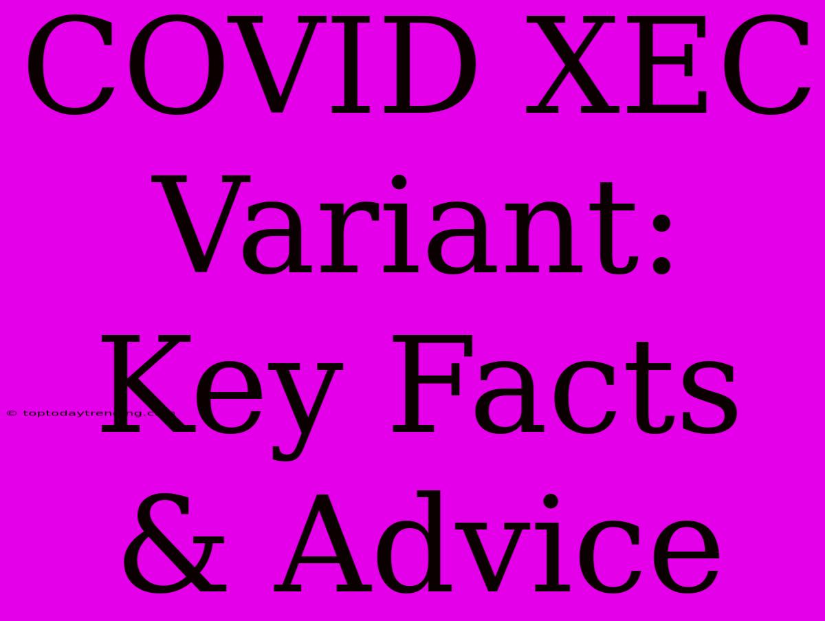 COVID XEC Variant: Key Facts & Advice