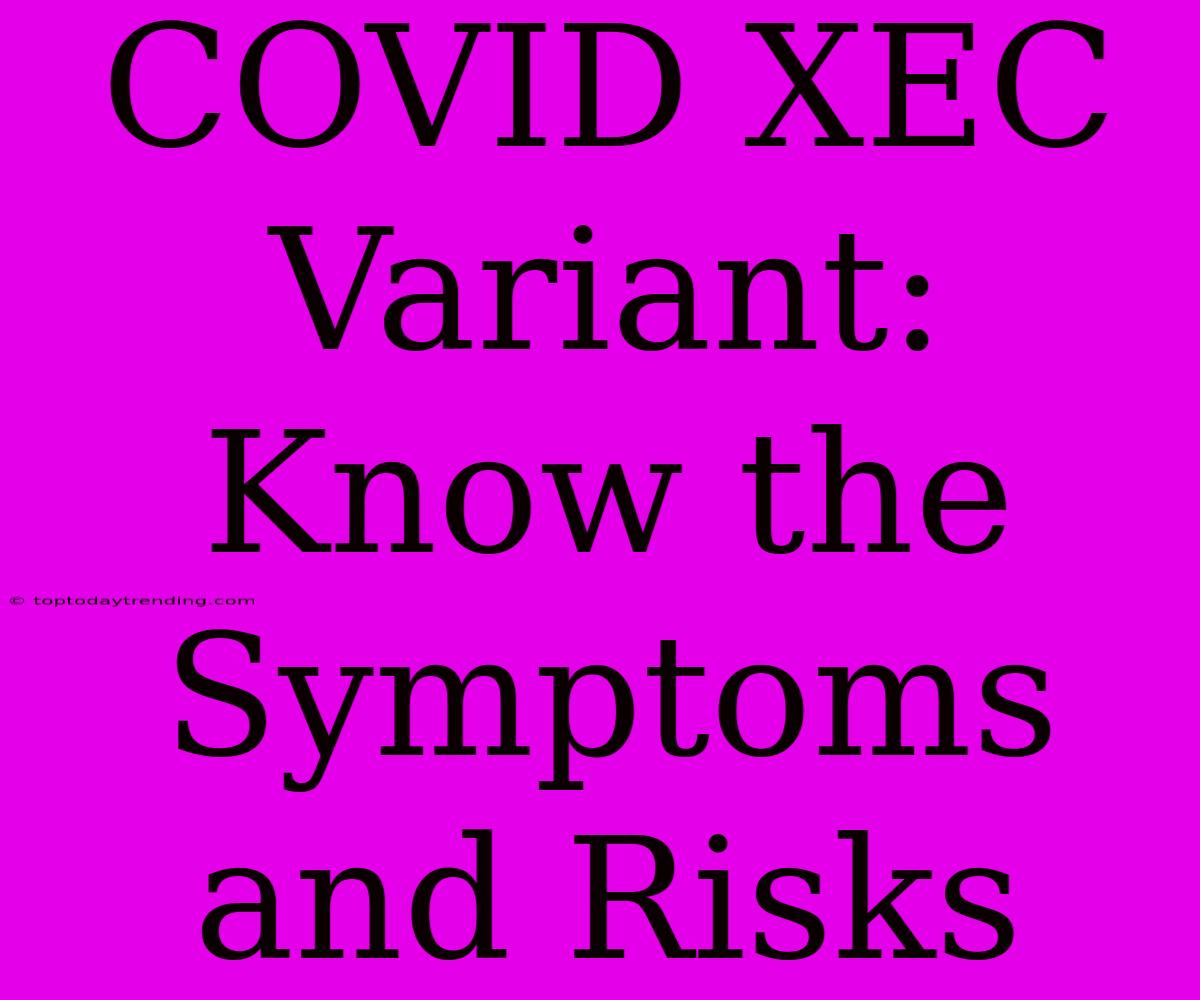 COVID XEC Variant: Know The Symptoms And Risks