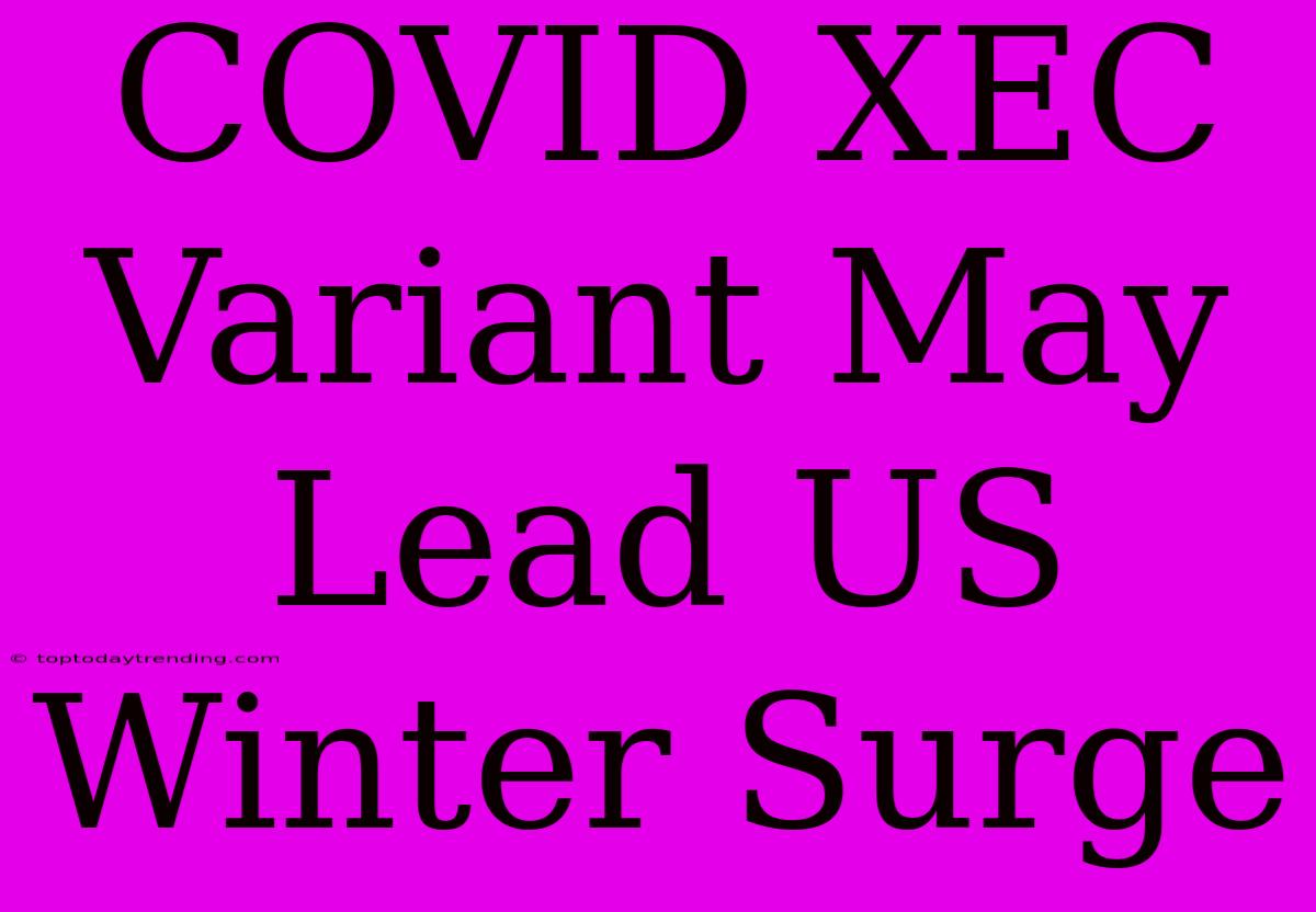 COVID XEC Variant May Lead US Winter Surge