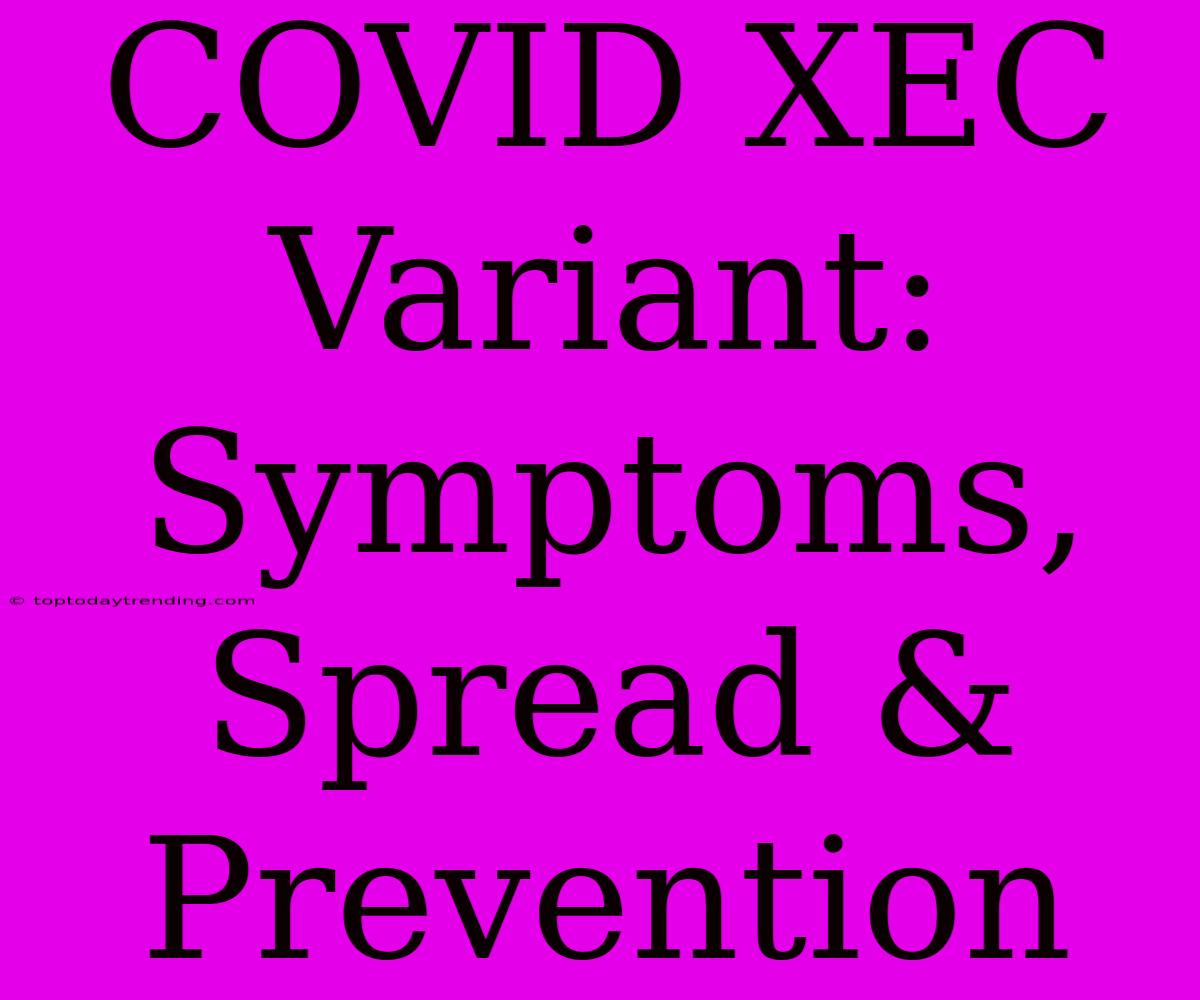 COVID XEC Variant: Symptoms, Spread & Prevention