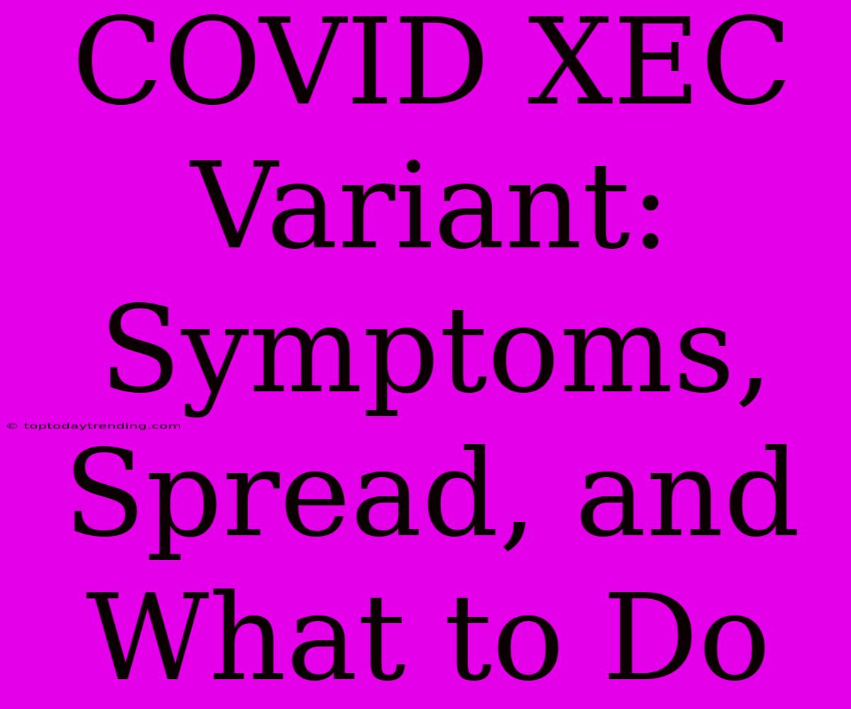 COVID XEC Variant: Symptoms, Spread, And What To Do