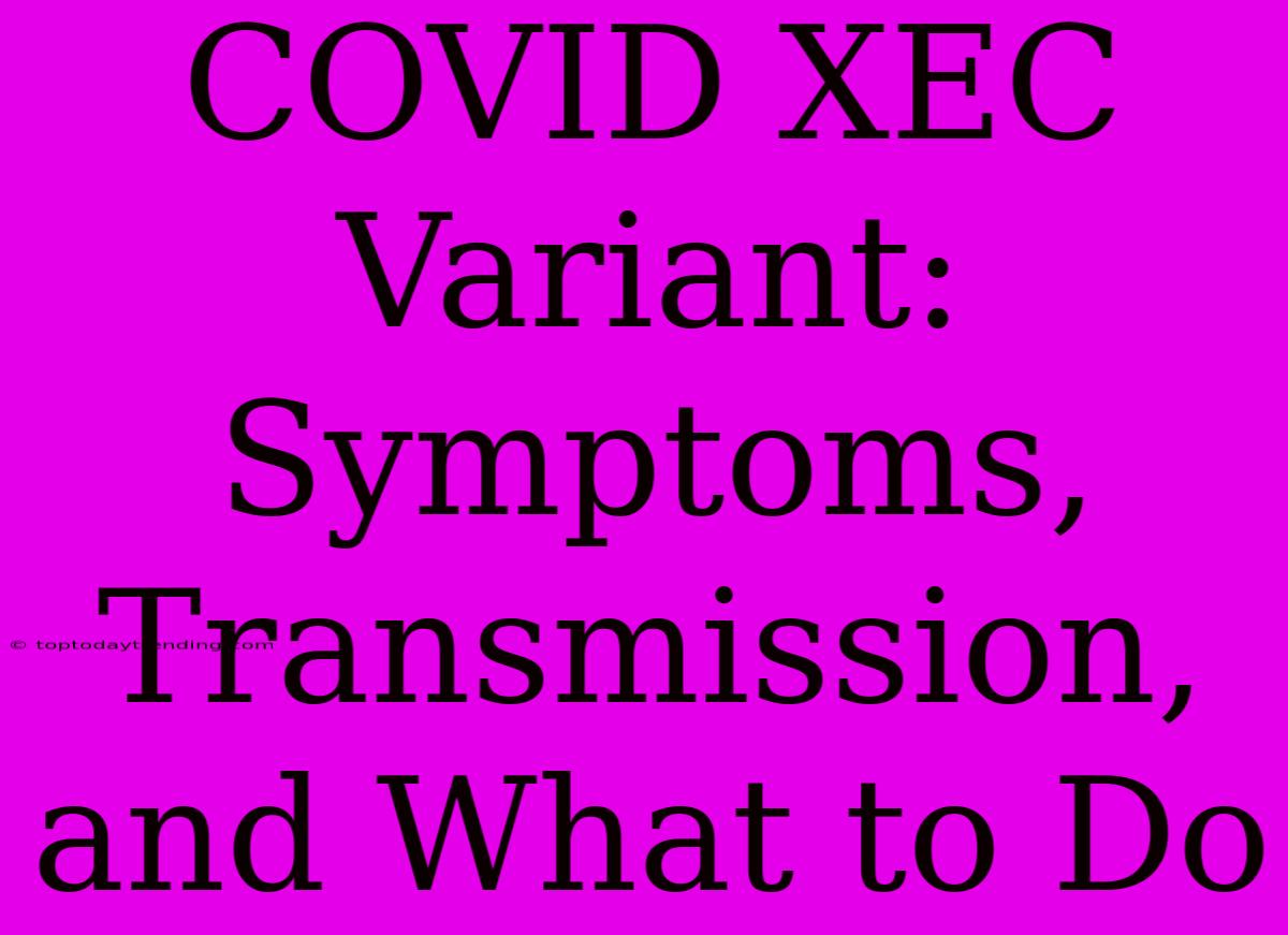 COVID XEC Variant: Symptoms, Transmission, And What To Do