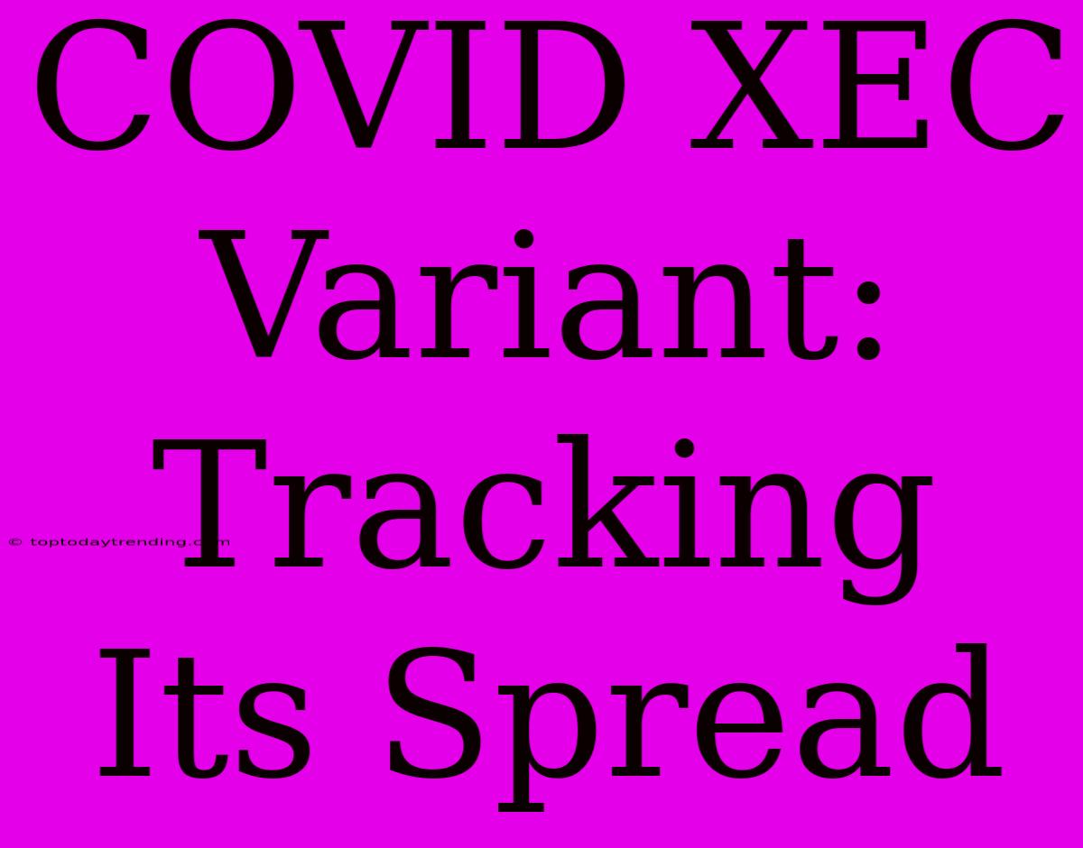 COVID XEC Variant:  Tracking Its Spread