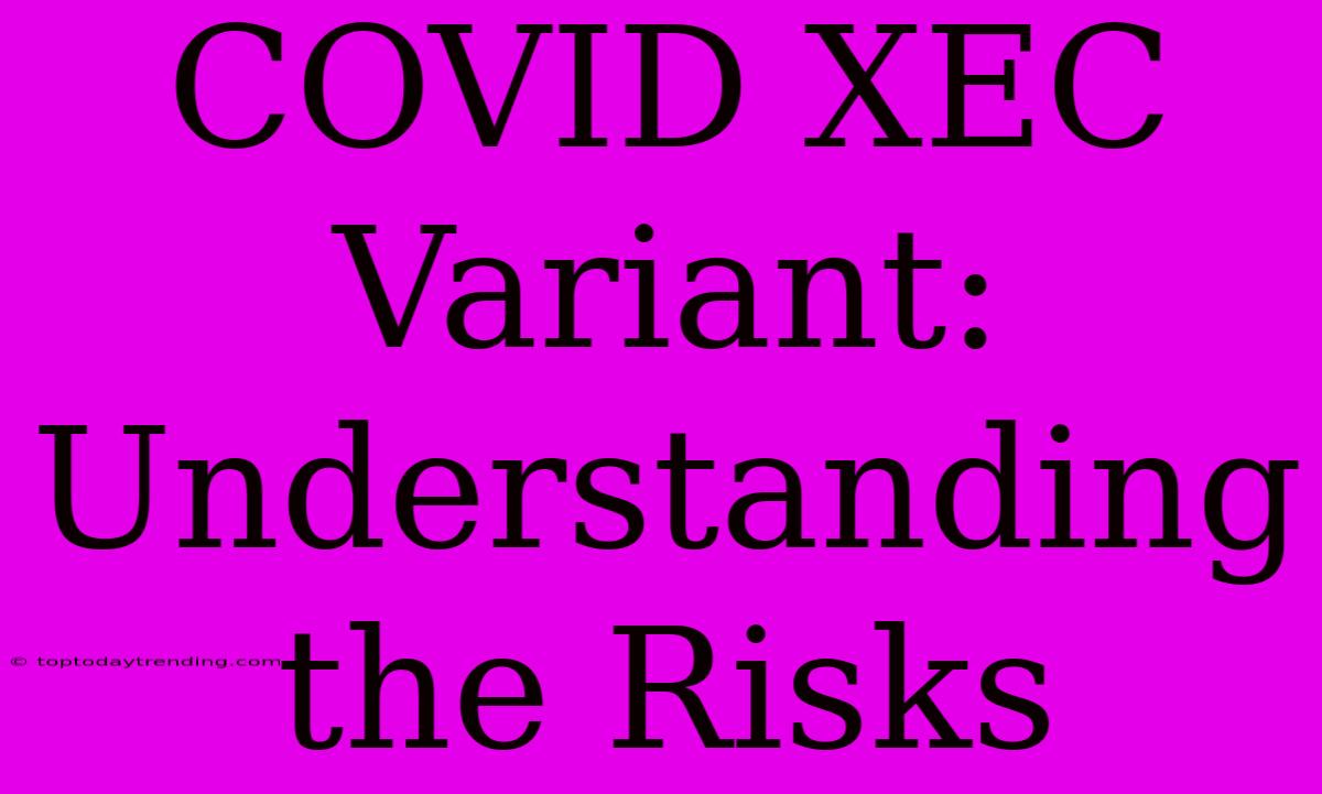 COVID XEC Variant: Understanding The Risks