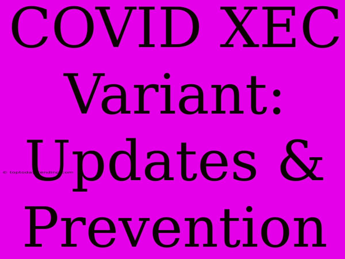 COVID XEC Variant: Updates & Prevention