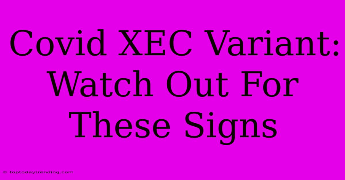 Covid XEC Variant: Watch Out For These Signs