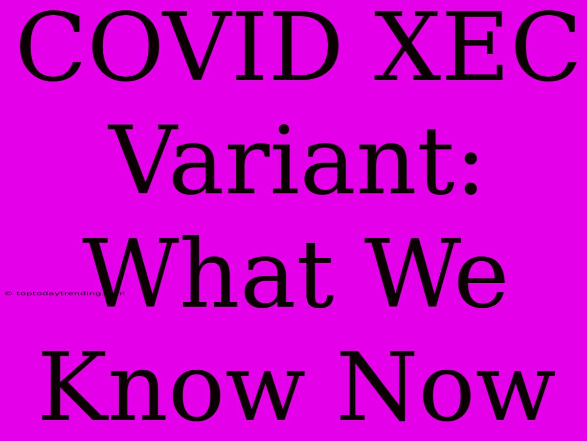 COVID XEC Variant:  What We Know Now