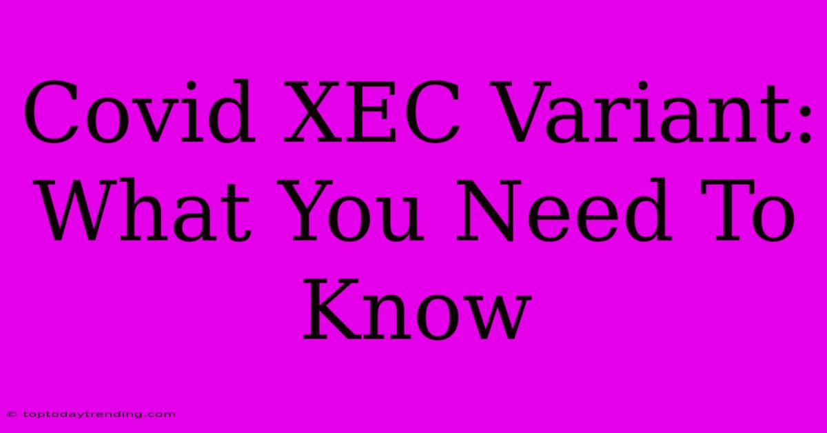 Covid XEC Variant: What You Need To Know