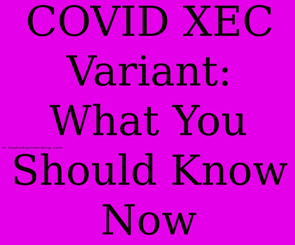 COVID XEC Variant: What You Should Know Now