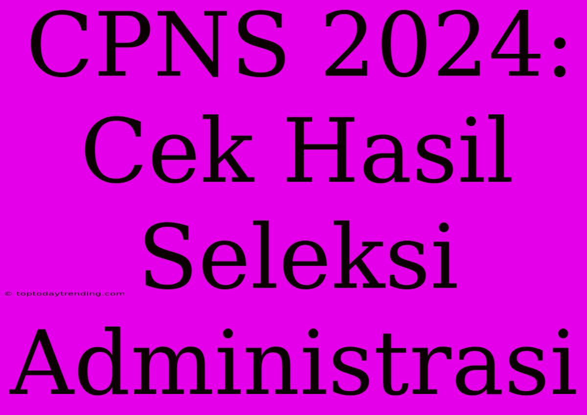 CPNS 2024: Cek Hasil Seleksi Administrasi