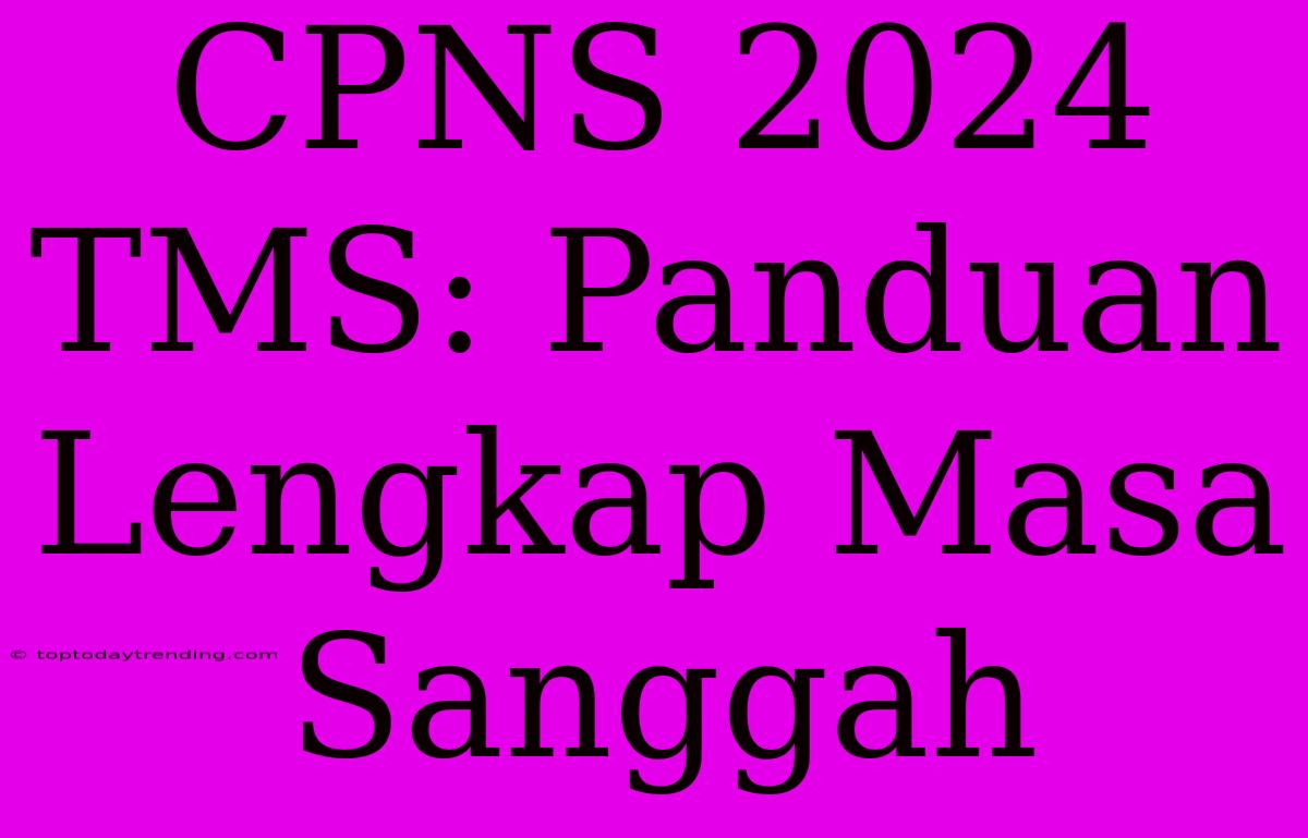 CPNS 2024 TMS: Panduan Lengkap Masa Sanggah