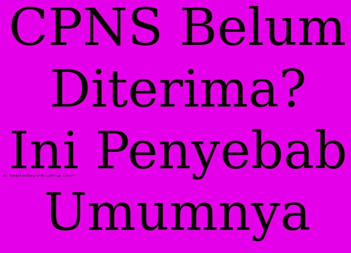 CPNS Belum Diterima? Ini Penyebab Umumnya