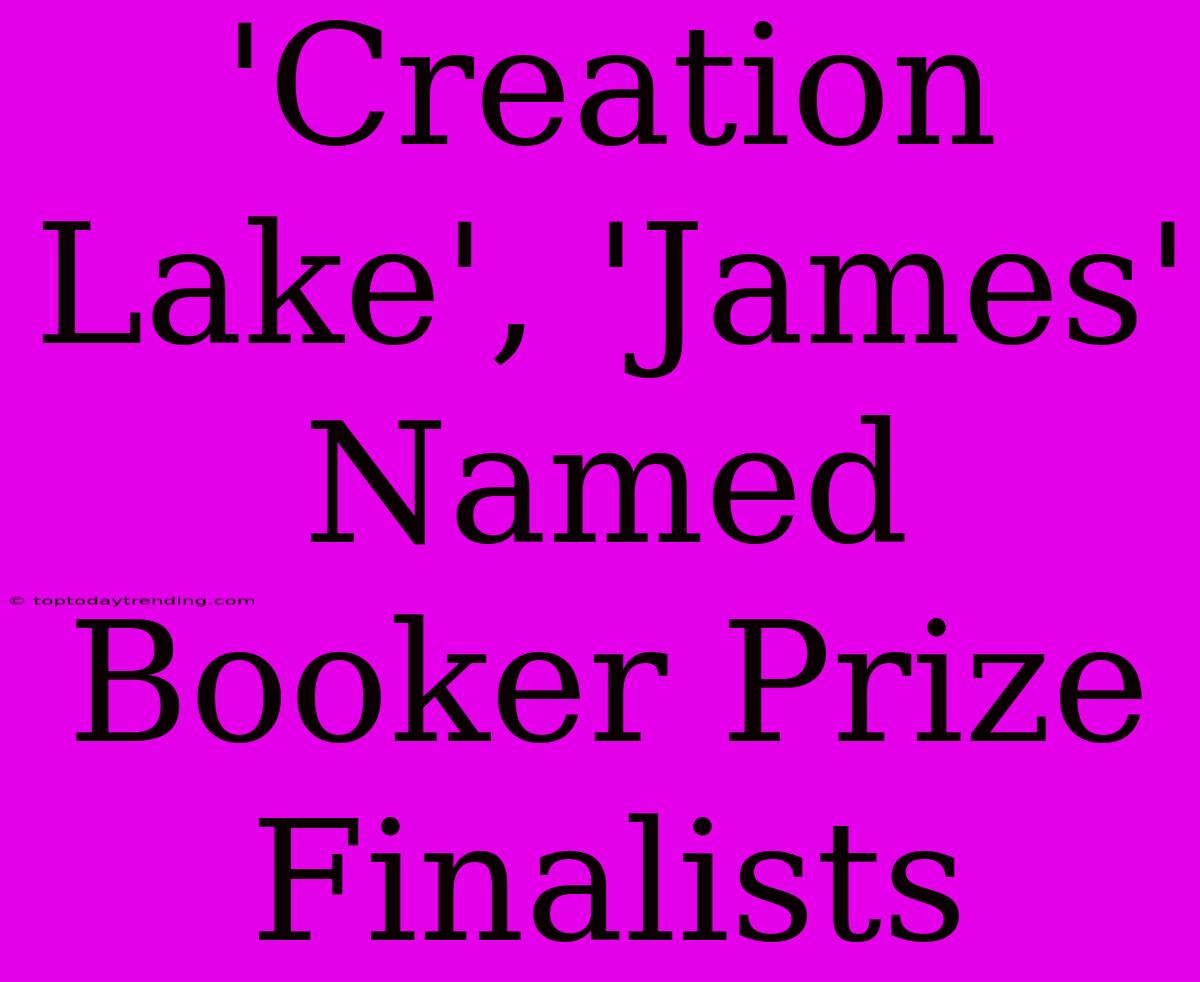 'Creation Lake', 'James' Named Booker Prize Finalists