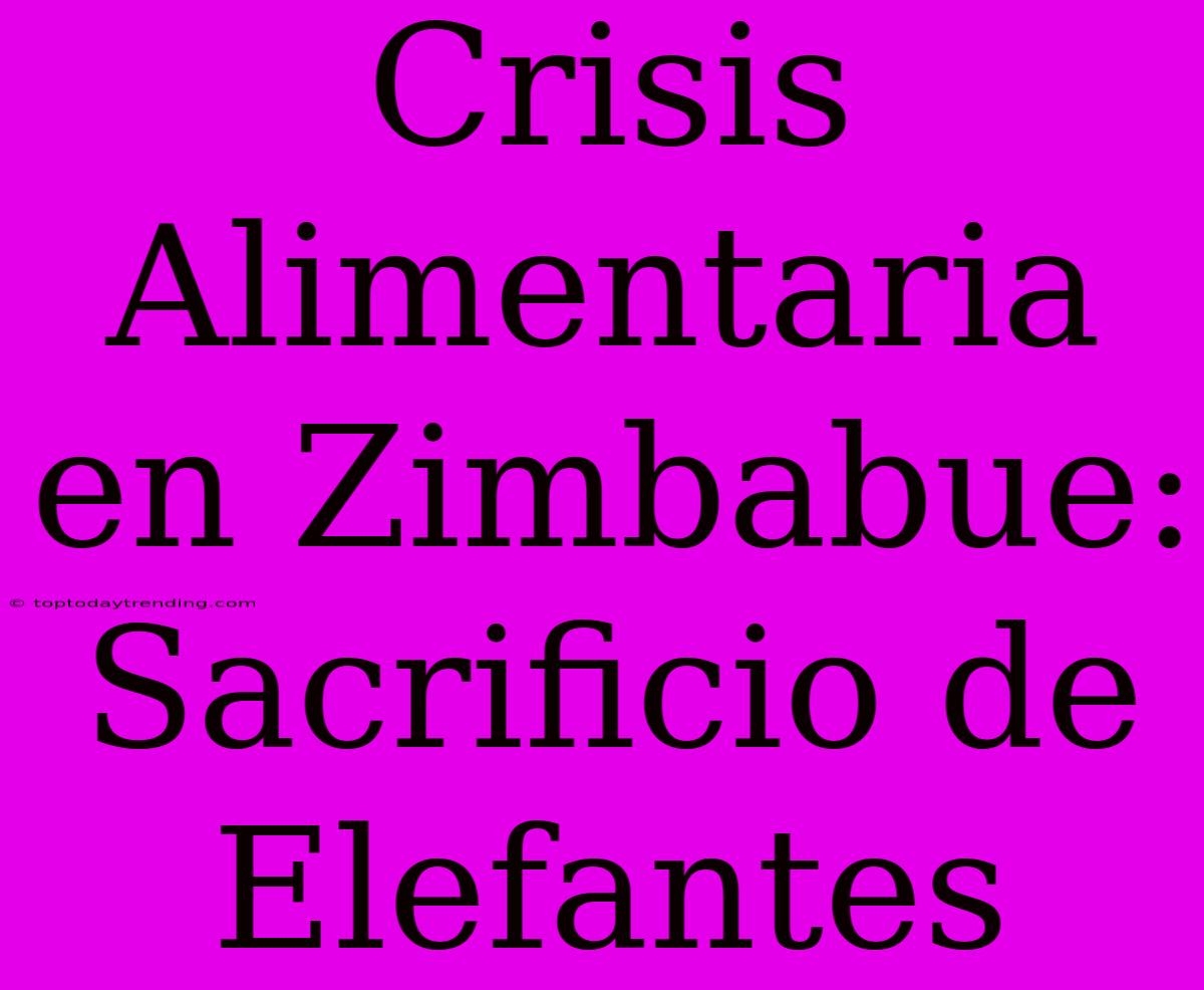 Crisis Alimentaria En Zimbabue: Sacrificio De Elefantes