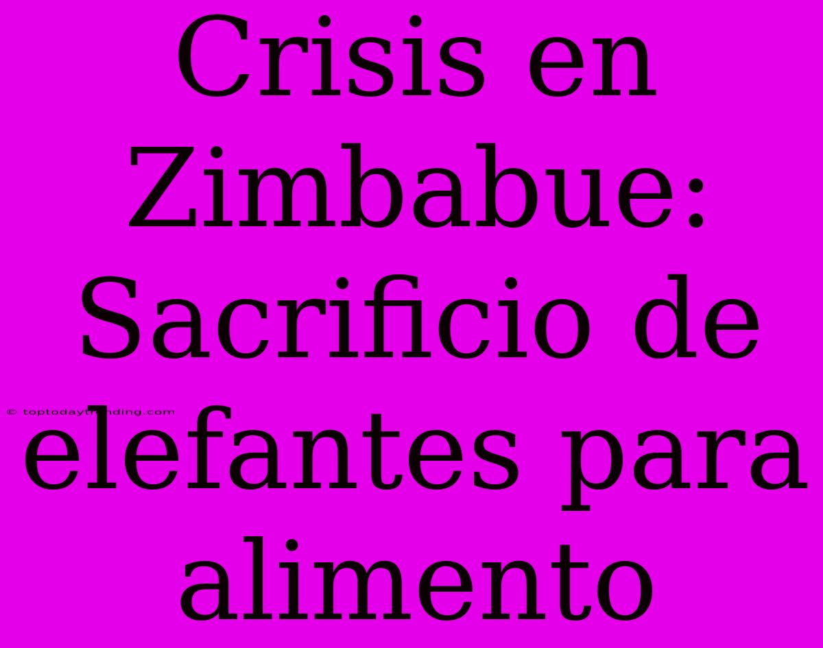 Crisis En Zimbabue: Sacrificio De Elefantes Para Alimento