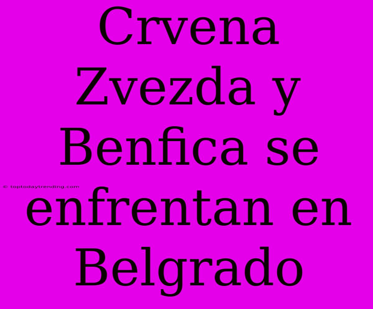 Crvena Zvezda Y Benfica Se Enfrentan En Belgrado