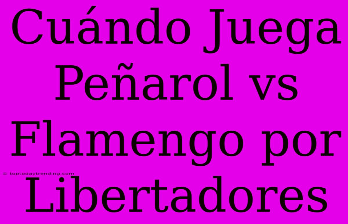 Cuándo Juega Peñarol Vs Flamengo Por Libertadores