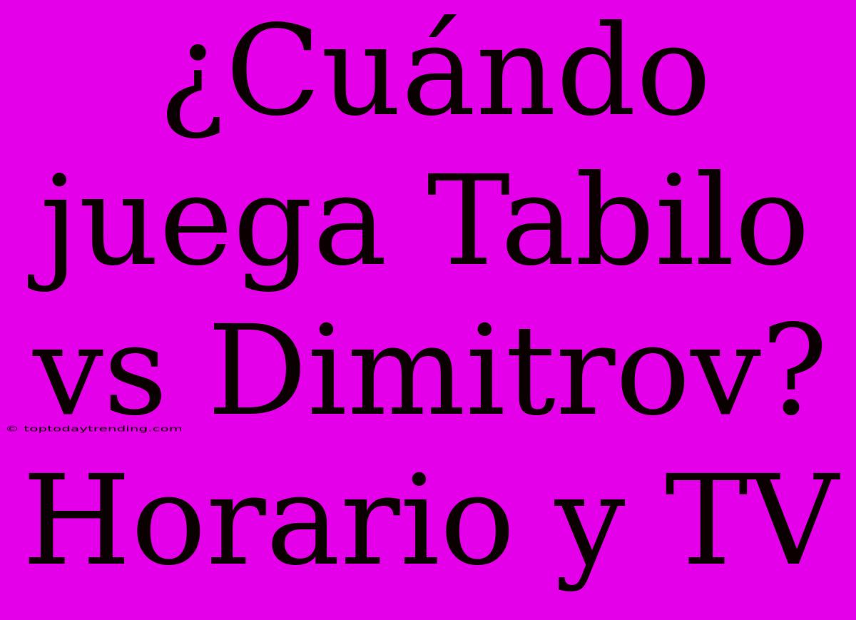 ¿Cuándo Juega Tabilo Vs Dimitrov? Horario Y TV