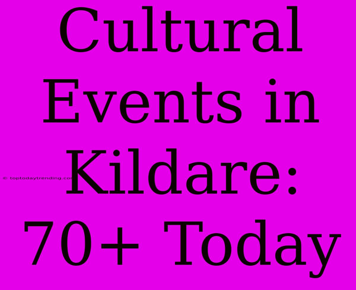 Cultural Events In Kildare: 70+ Today