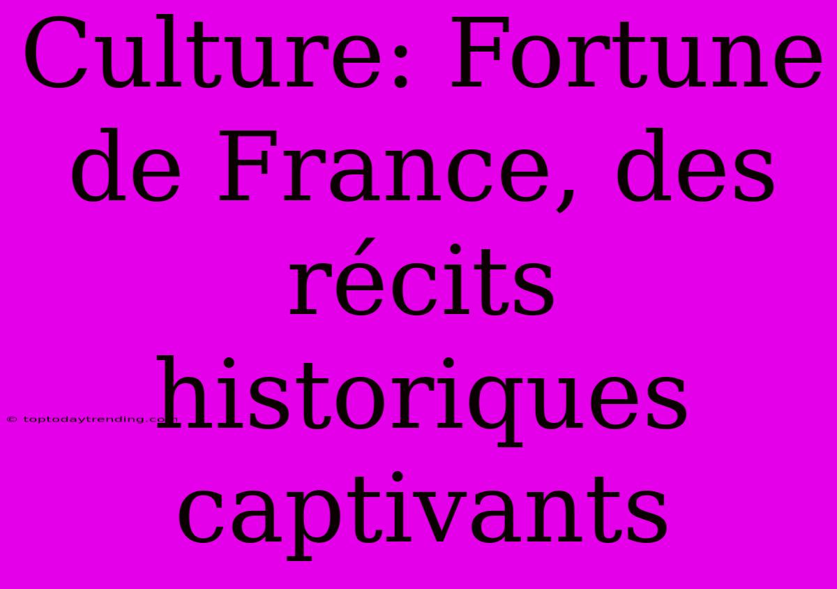 Culture: Fortune De France, Des Récits Historiques Captivants