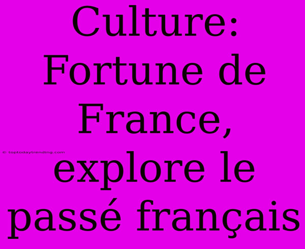 Culture: Fortune De France, Explore Le Passé Français