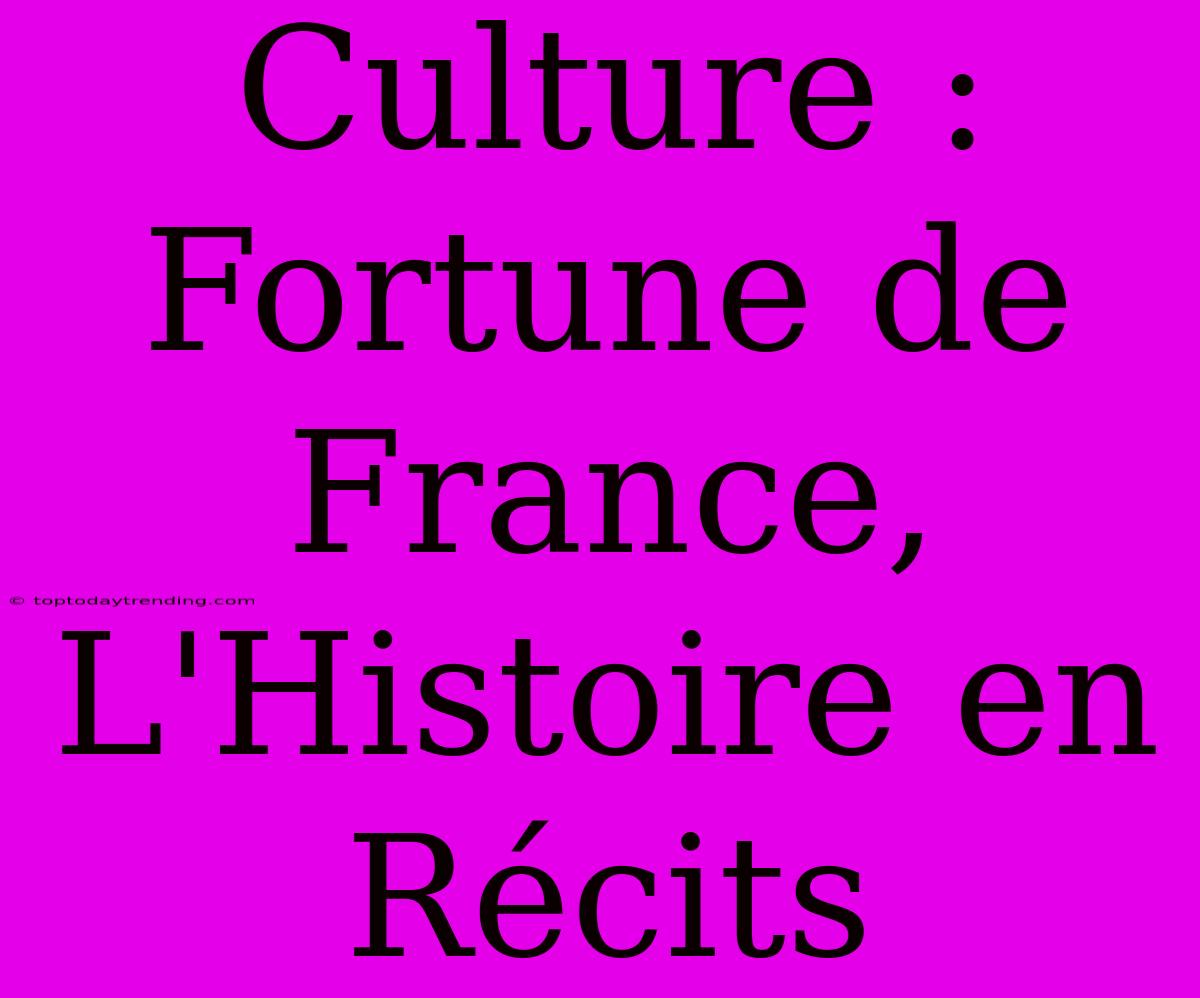 Culture : Fortune De France, L'Histoire En Récits