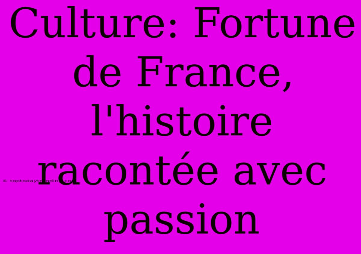 Culture: Fortune De France, L'histoire Racontée Avec Passion