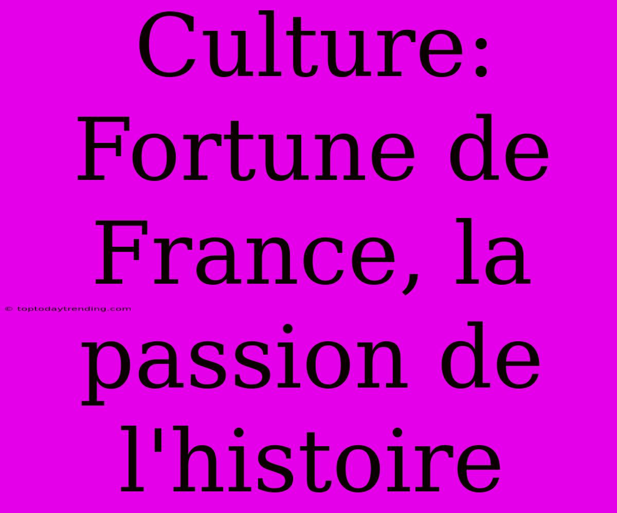 Culture: Fortune De France, La Passion De L'histoire