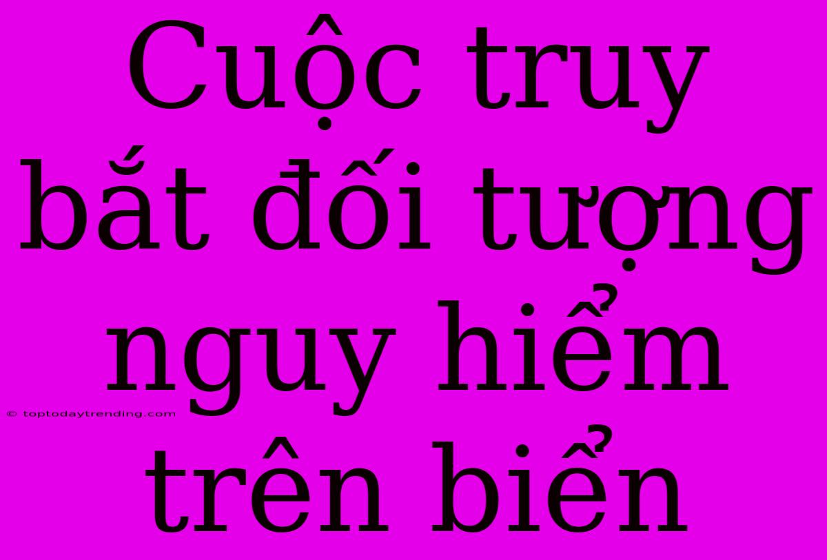 Cuộc Truy Bắt Đối Tượng Nguy Hiểm Trên Biển