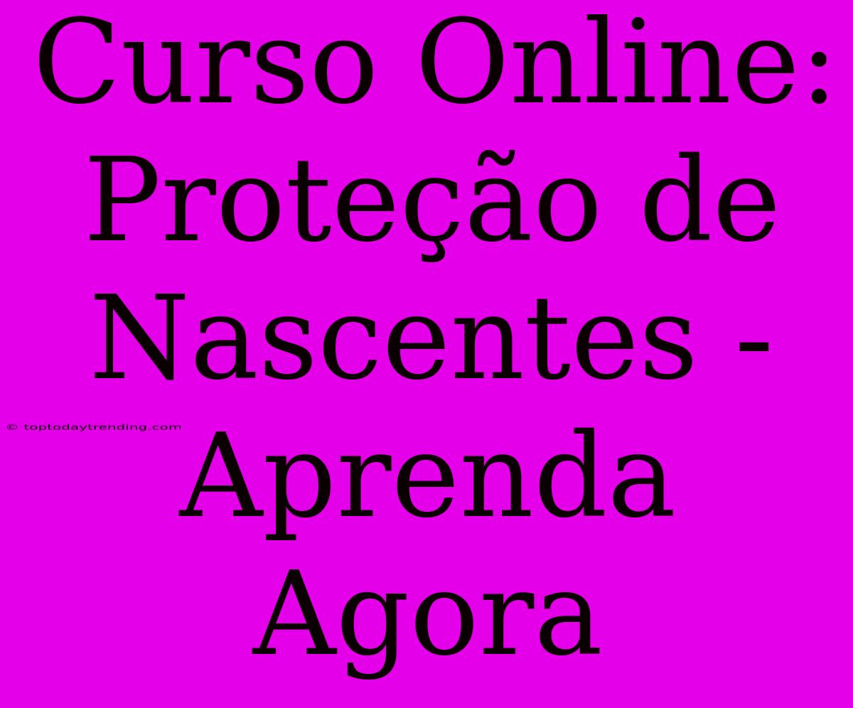 Curso Online: Proteção De Nascentes - Aprenda Agora