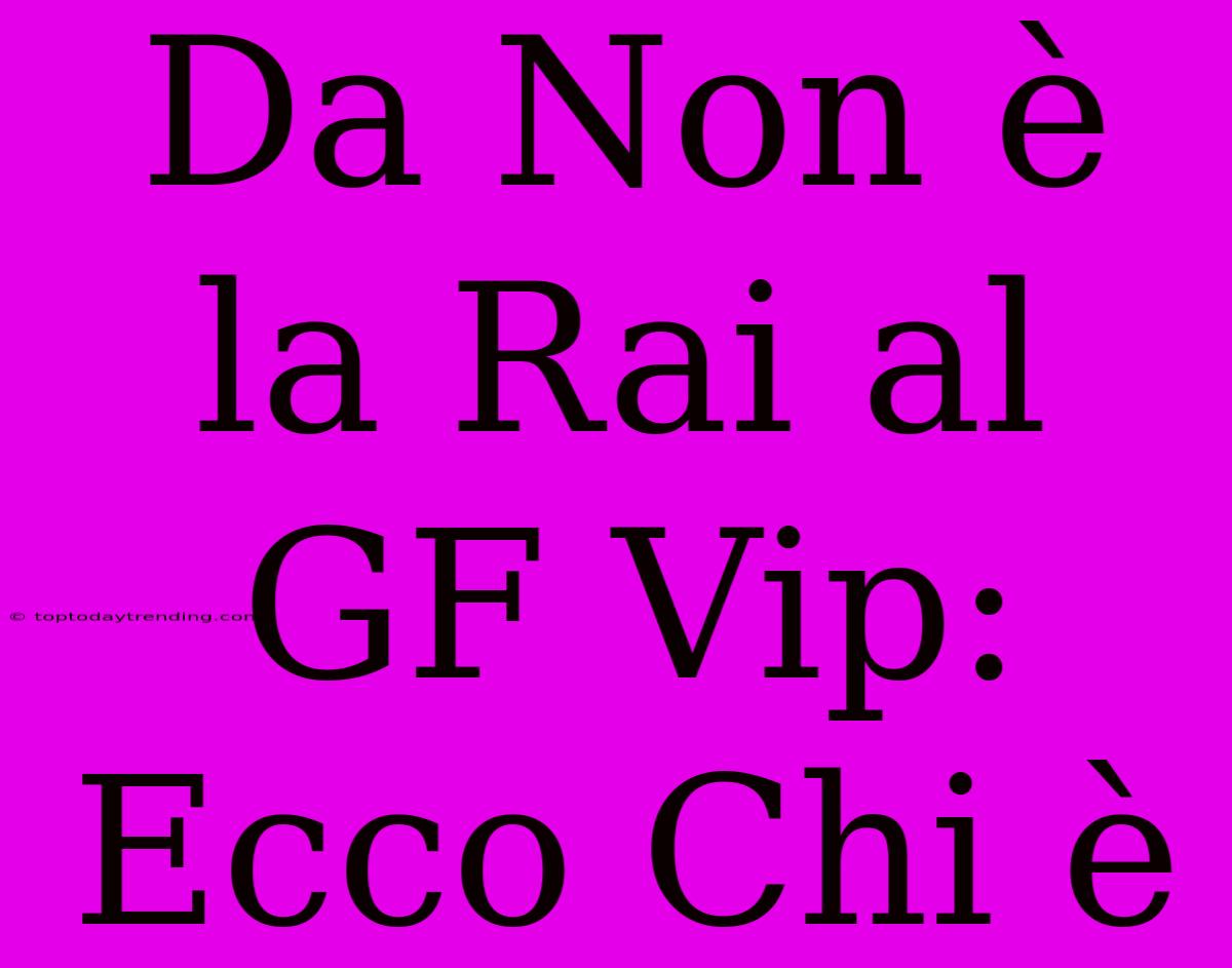 Da Non È La Rai Al GF Vip: Ecco Chi È