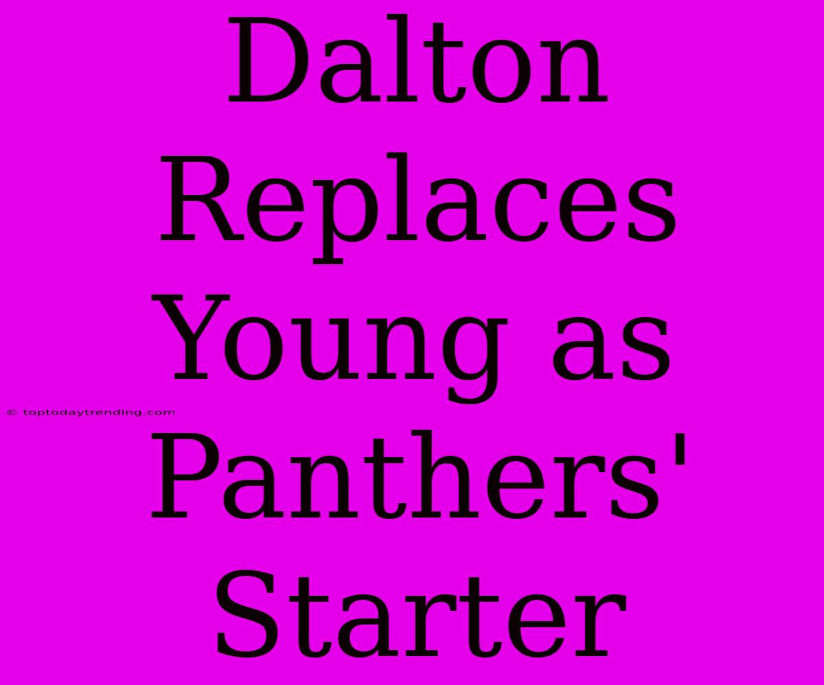 Dalton Replaces Young As Panthers' Starter