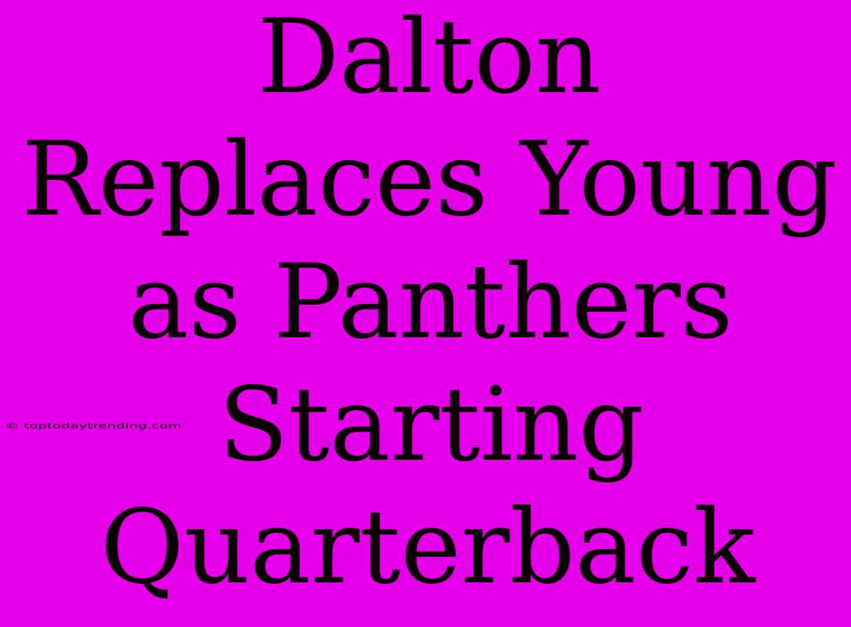 Dalton Replaces Young As Panthers Starting Quarterback