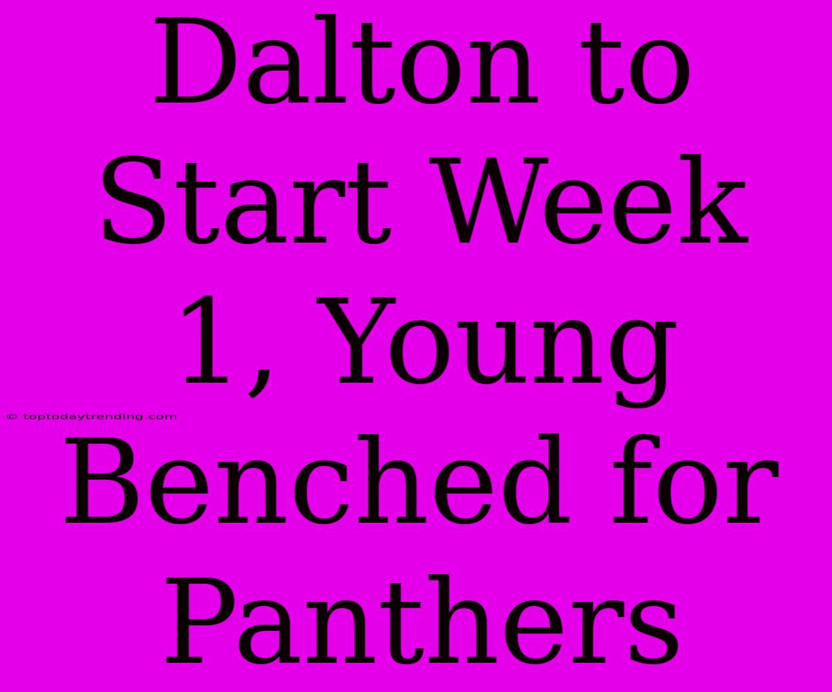 Dalton To Start Week 1, Young Benched For Panthers