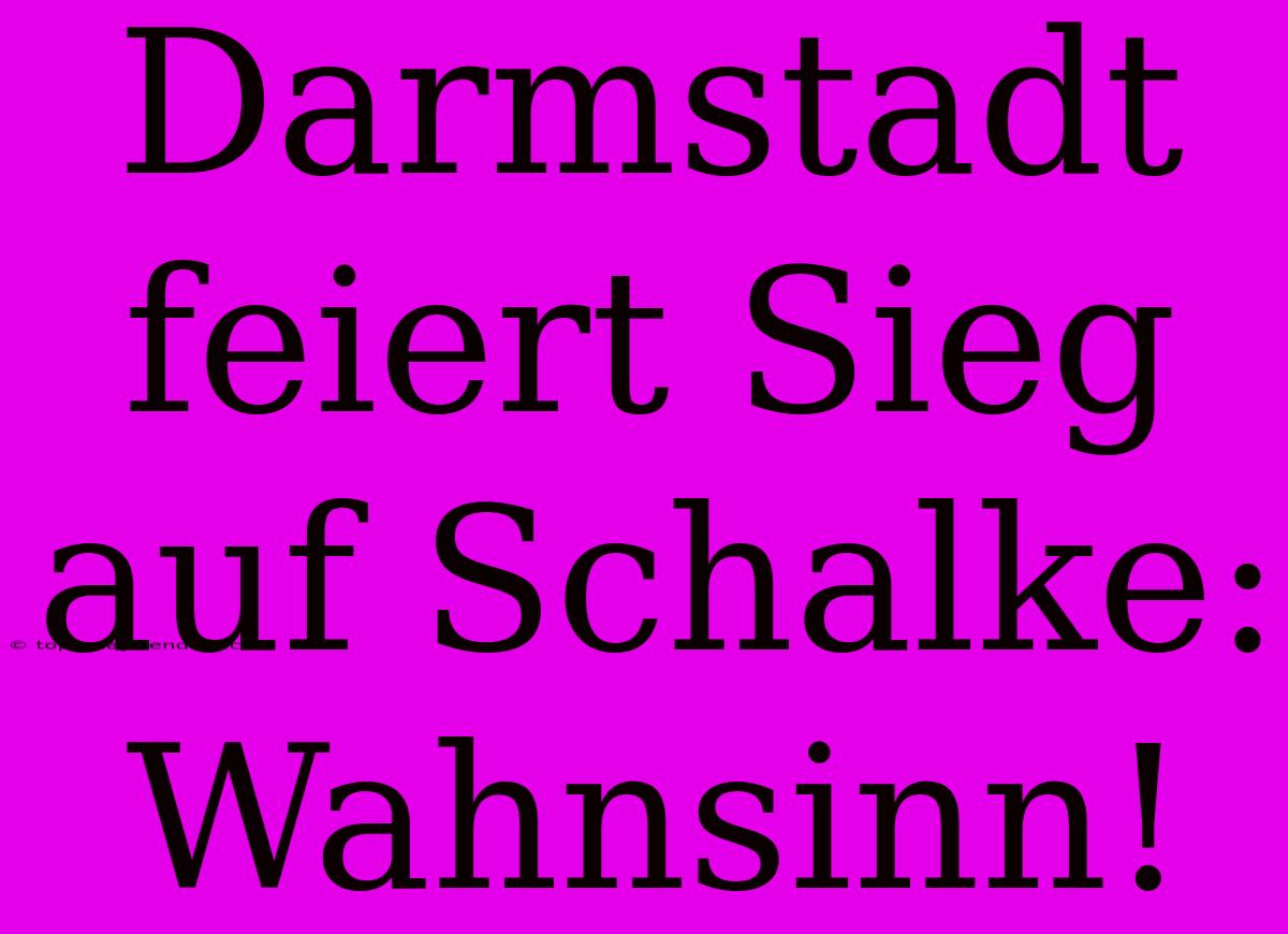 Darmstadt Feiert Sieg Auf Schalke: Wahnsinn!