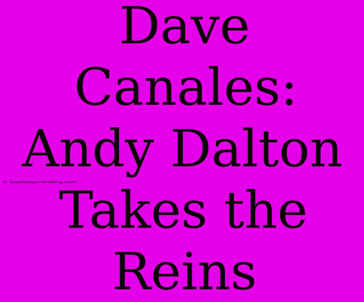 Dave Canales: Andy Dalton Takes The Reins