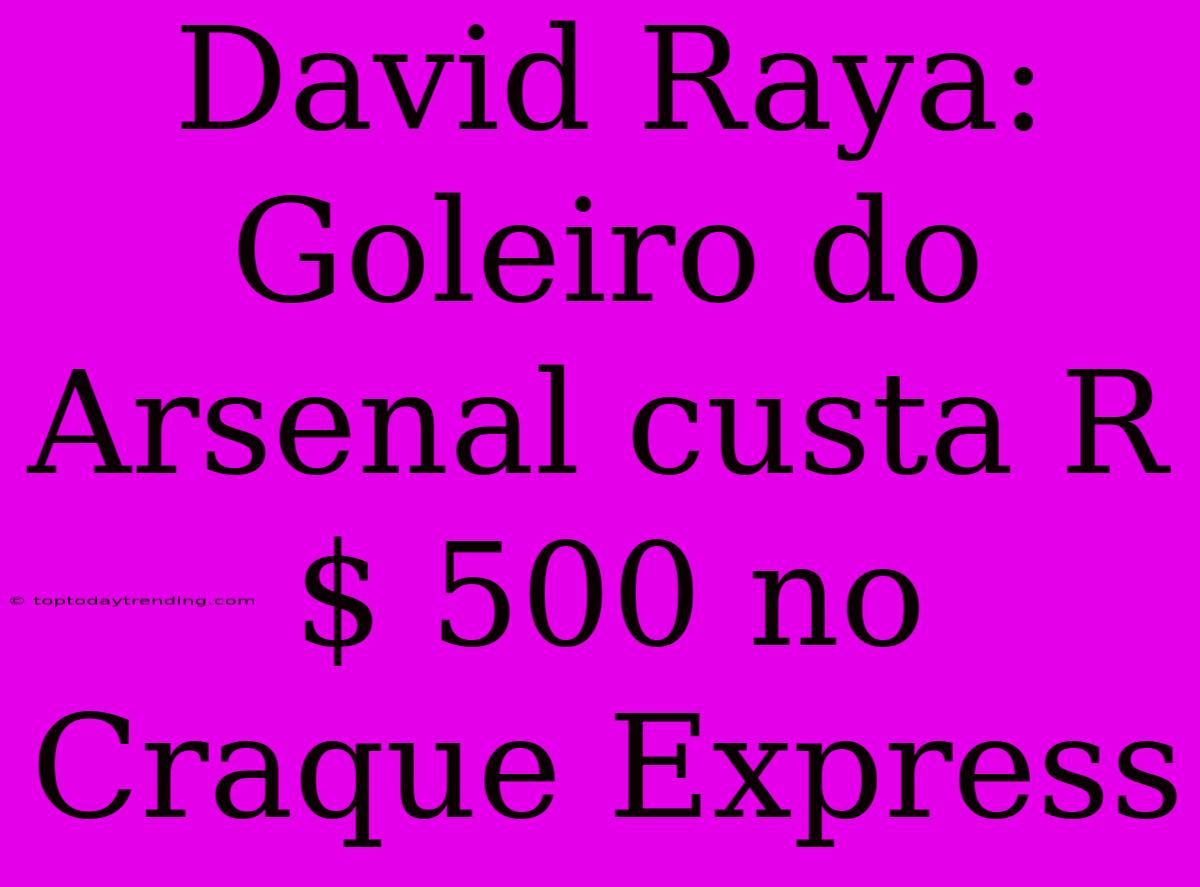 David Raya: Goleiro Do Arsenal Custa R$ 500 No Craque Express