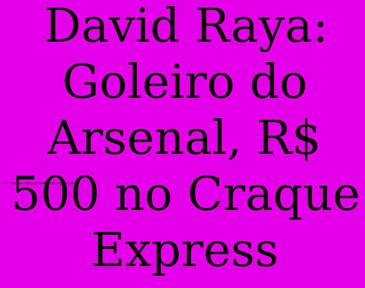 David Raya: Goleiro Do Arsenal, R$ 500 No Craque Express