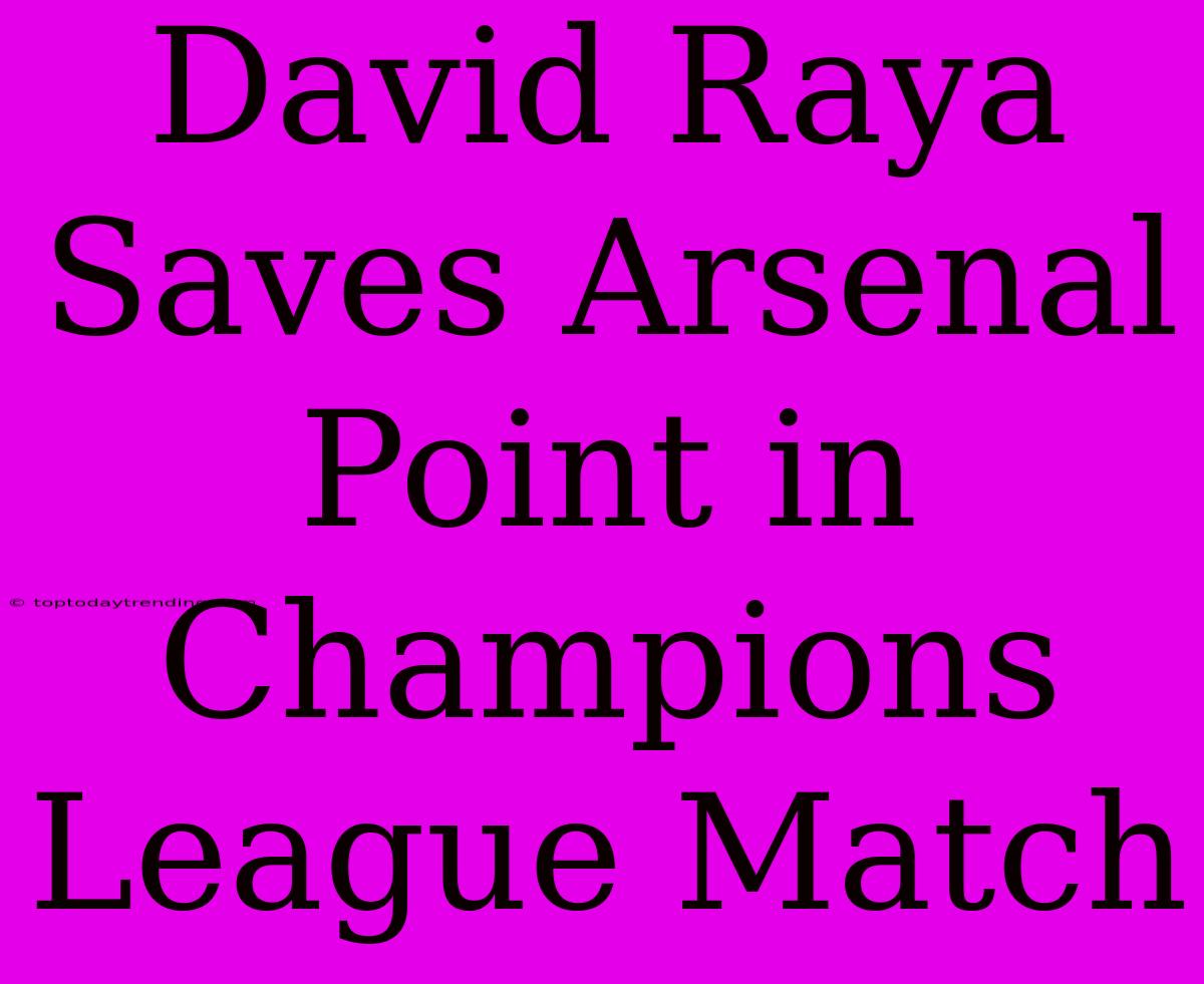 David Raya Saves Arsenal Point In Champions League Match