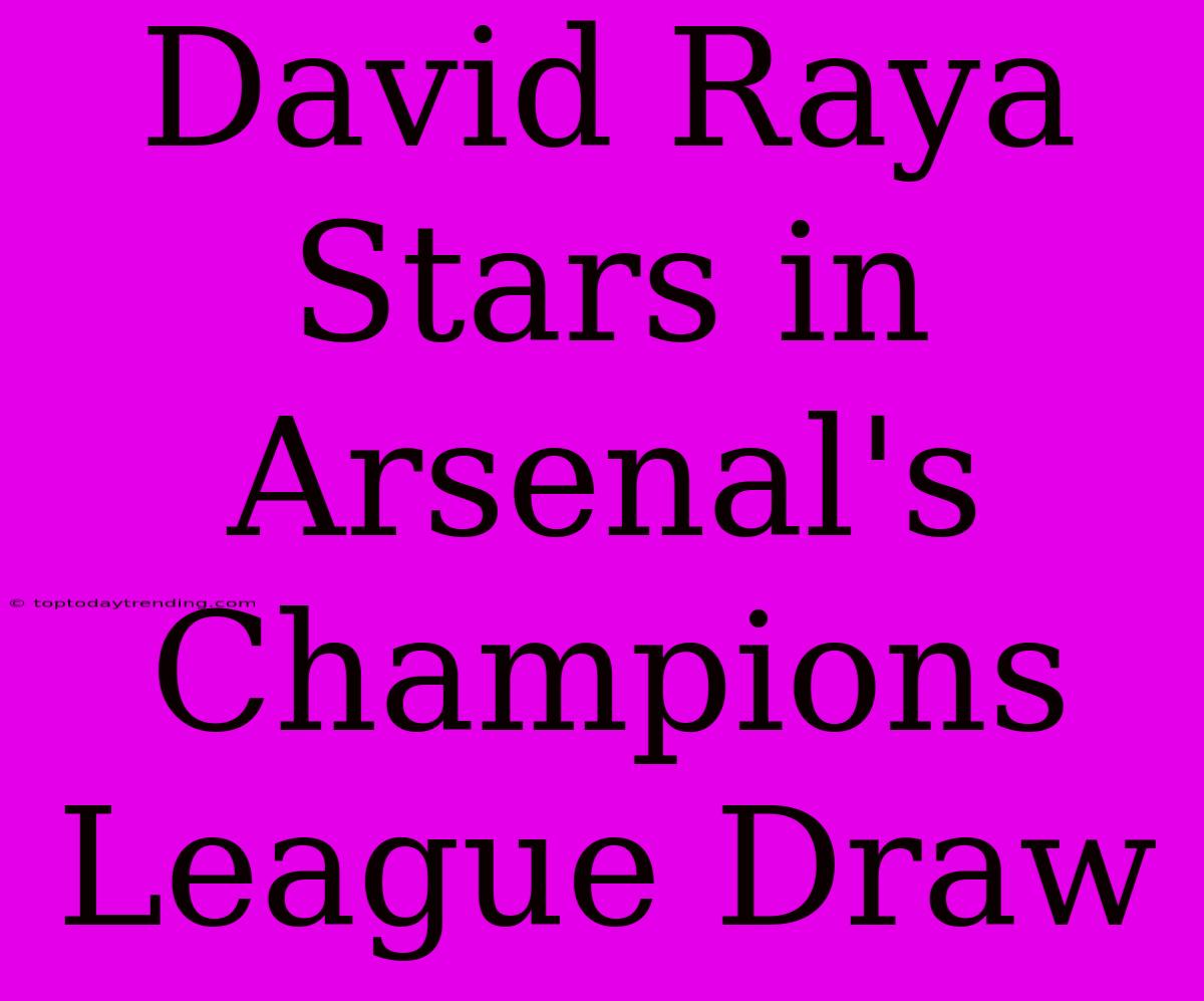 David Raya Stars In Arsenal's Champions League Draw