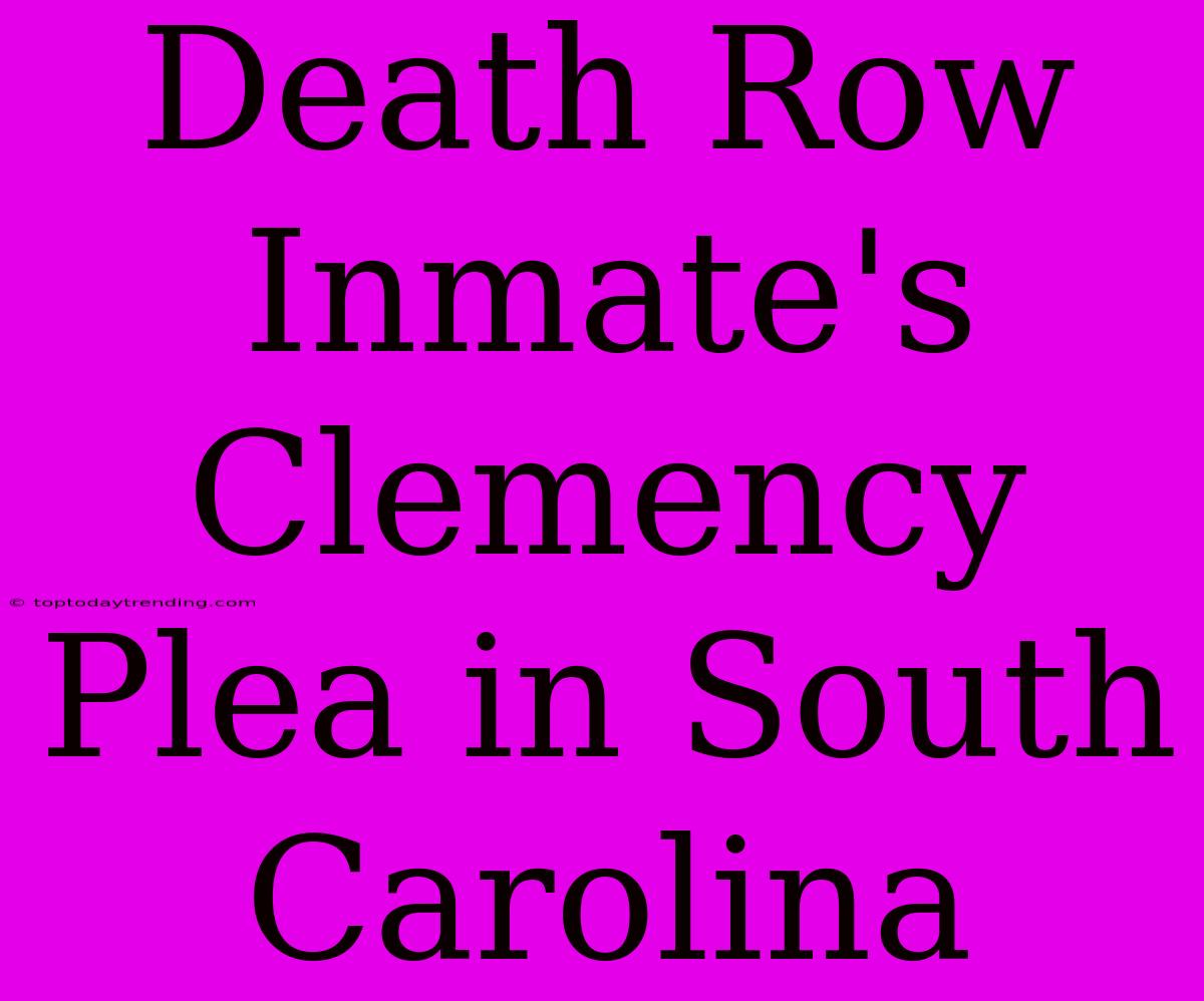 Death Row Inmate's Clemency Plea In South Carolina