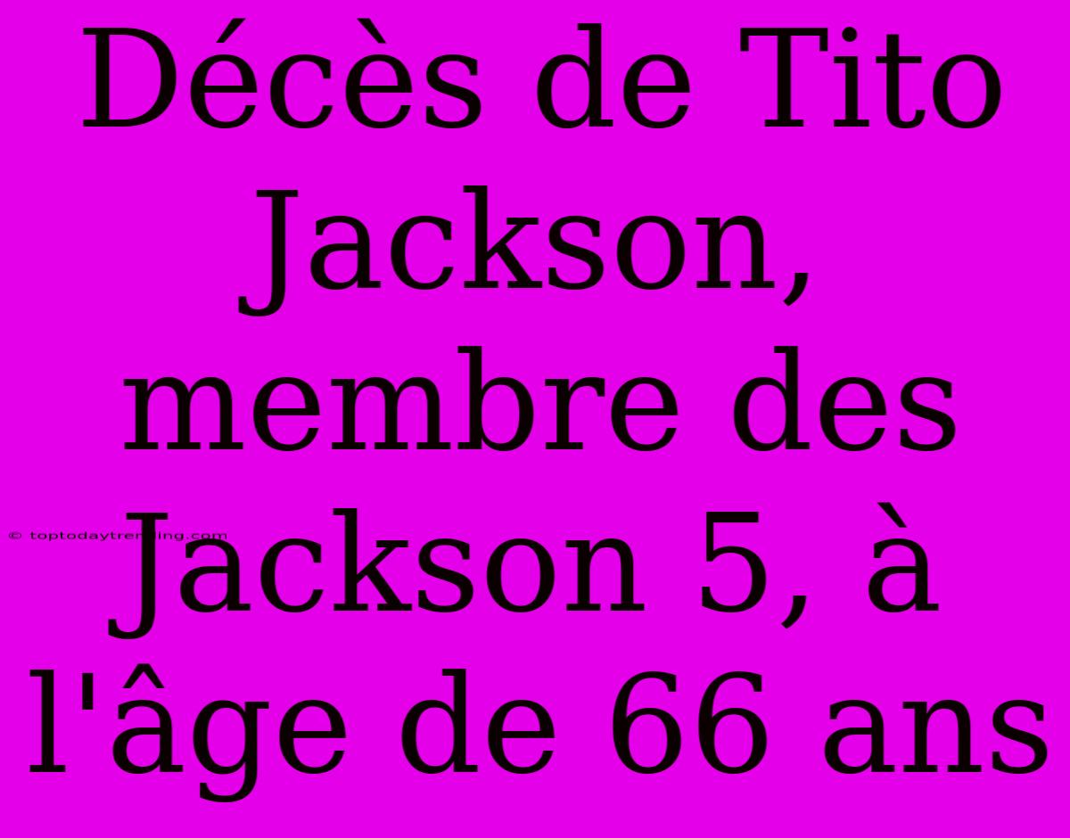 Décès De Tito Jackson, Membre Des Jackson 5, À L'âge De 66 Ans