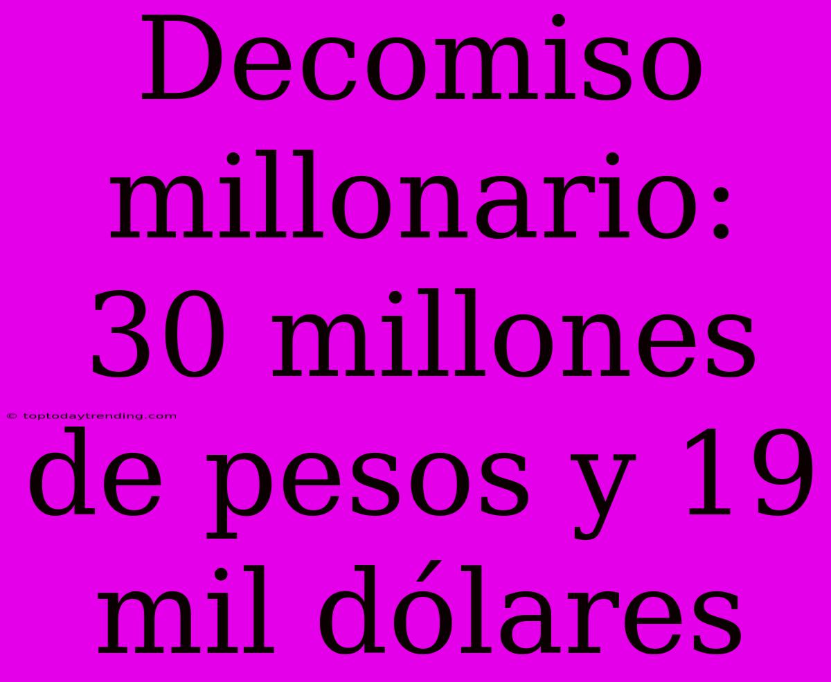 Decomiso Millonario: 30 Millones De Pesos Y 19 Mil Dólares